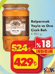 BALPARMAK YAYLA VE OVA ÇİÇEK BALI 850 G fiyat ve kampanya bilgisi
